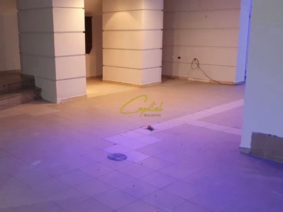 AMBIENT BIZNESI ME QERA 170 M2 VASIL SHANTO 750 EURO
