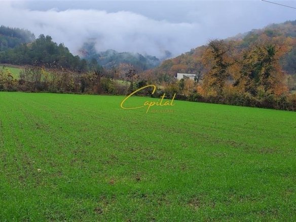 SHITET TOKE 3.500 M2 PETRELE 315.000 EURO