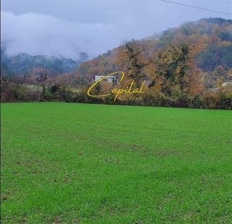 SHITET TOKE 3.500 M2 PETRELE 315.000 EURO