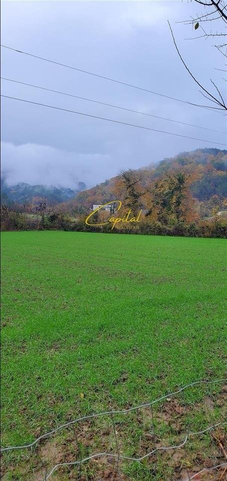SHITET TOKE 3.500 M2 PETRELE 315.000 EURO