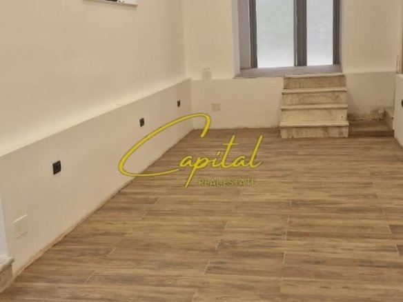 SHITET DYQAN 55 M2 ISH STACIONI TRENIT 300.000 EURO