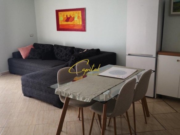 APARTAMENT ME QERA 1+1 ISH TREGU ELEKTRIK 600 EURO