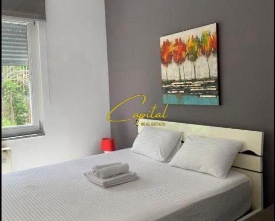 APARTAMENT ME QERA 1+1 KOPSHTI ZOOLOGJIK 600 EURO