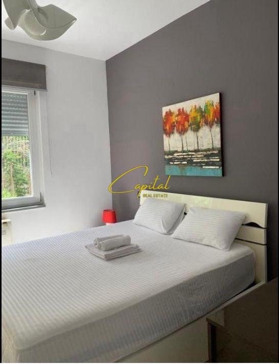 APARTAMENT ME QERA 1+1 KOPSHTI ZOOLOGJIK 600 EURO