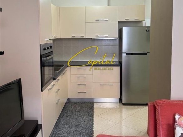 APARTAMENT ME QIRA 1+1 FRESKU 40.000 LEKE