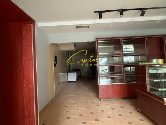DYQAN ME QIRA 100 MW KOPSHTI ZOOLOGJIK 800 EURO