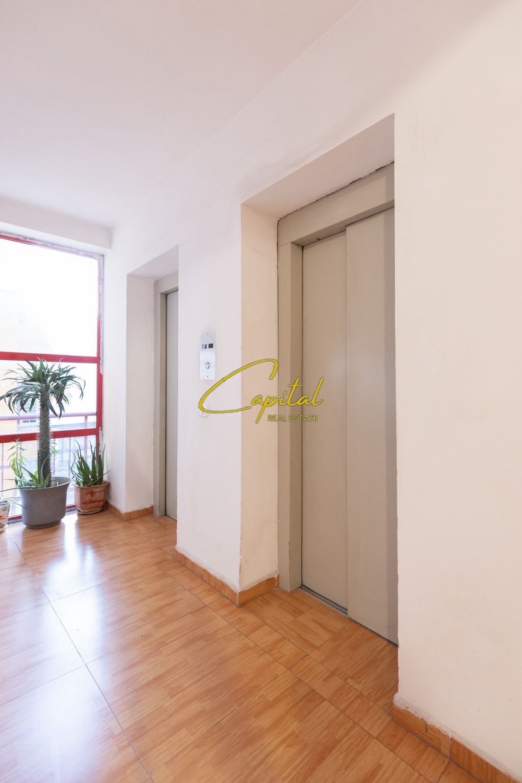 WhatsApp Image 2026-02-25 at 3.35.27 PM (1) SHITET APARTAMENT 2+1 ZOGU I ZI 260.000 EURO