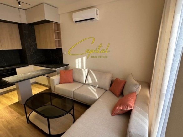 APARTAMENT ME QIRA 1+1 ALI DEMI 550 EURO