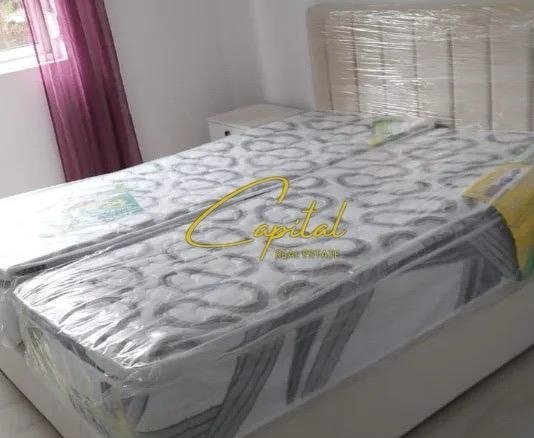APARTAMENT ME QIRA 1+1 PORCELAN 550 EURO