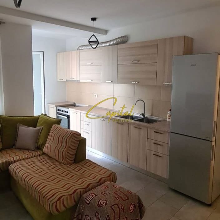 APARTAMENT ME QIRA 1+1 ISH PARKU 55.000 LEKE