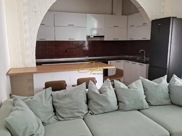 APARTAMENT DUBLEX 1+1 ME QIRA ALI DEMI 500 EURO