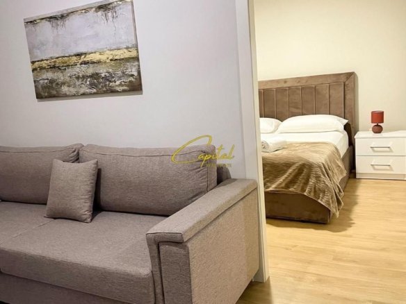 APARTAMENT ME QIRA 1+1 ZOGU I ZI 650 EURO