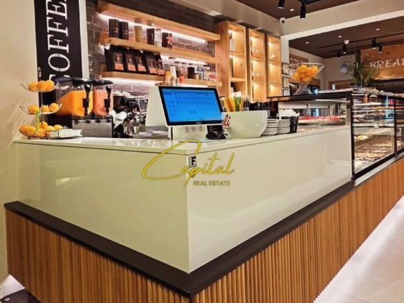 AMBIENT BIZNESI ME QIRA 224 M2 ISH PARKU 3.500 EURO