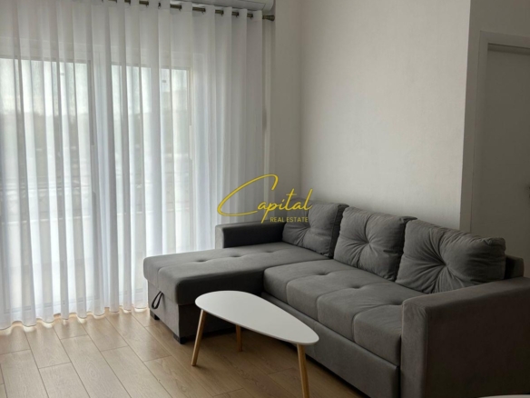 APARTAMENT ME QIRA 1+1 ALI DEMI 45.000 LEKE