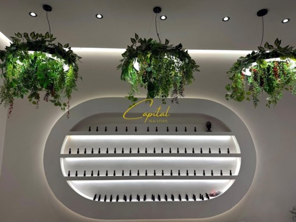AMBIENT BIZNESI ME QIRA 50 M2 ASTIR 600 EURO
