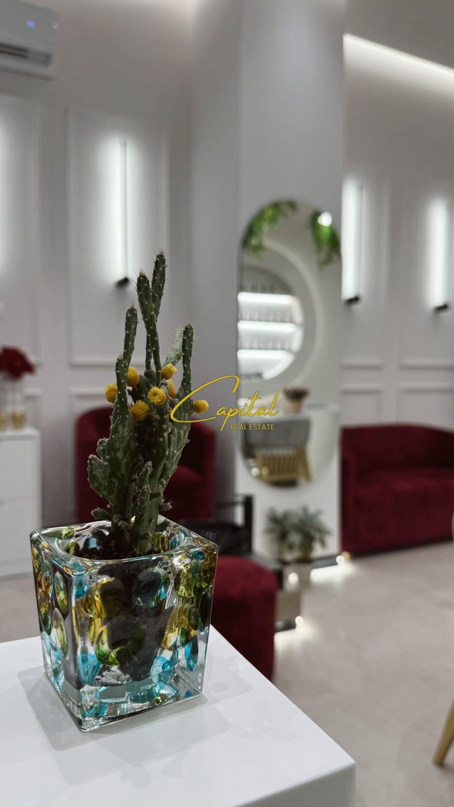 AMBIENT BIZNESI ME QIRA 50 M2 ASTIR 600 EURO