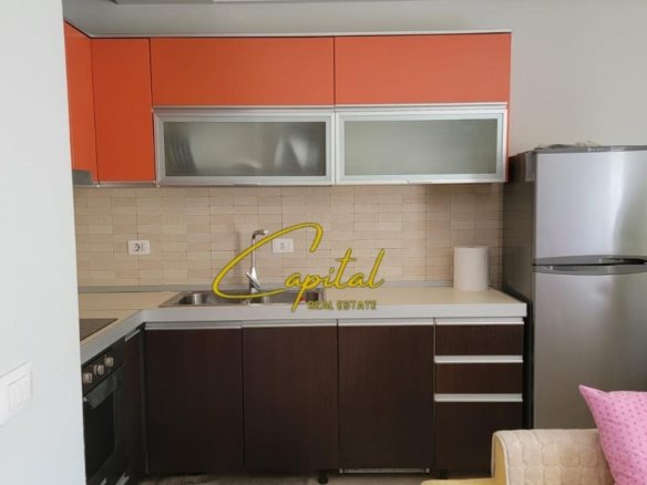 APARTAMENT ME QIRA 1+1 ALI DEMI 500 EURO