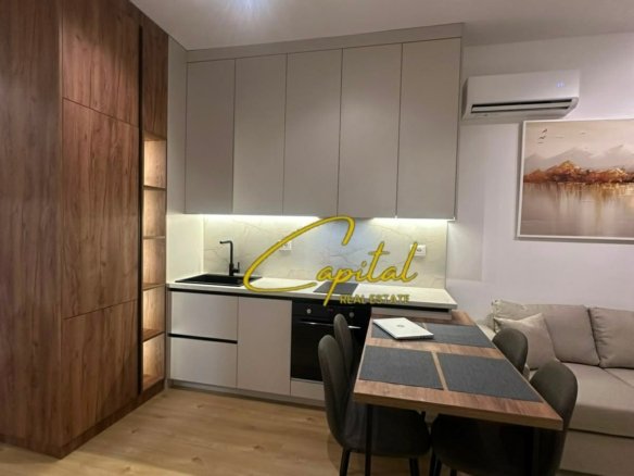 APARTAMENT ME QIRA 1+1 ALI DEMI 450 EURO