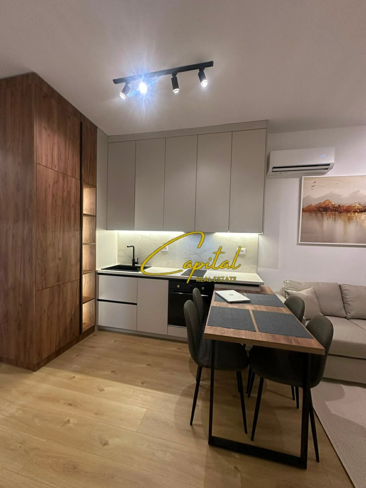 APARTAMENT ME QIRA 1+1 ALI DEMI 450 EURO