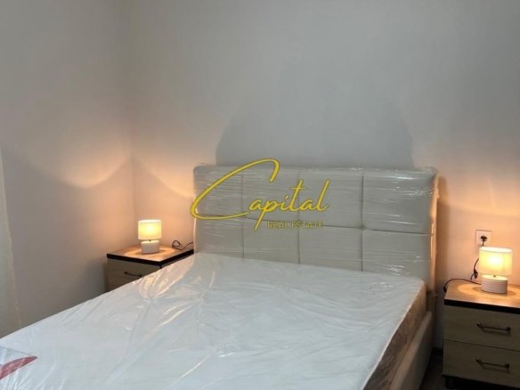 APARTAMENT ME QIRA 1+1 XHAMLLIKU 450 EURO