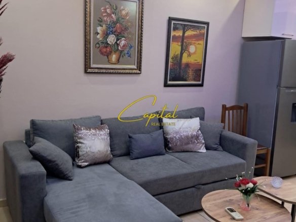 APARTAMENT ME QIRA 1+1 KODRA E DIELLIT 500 EURO