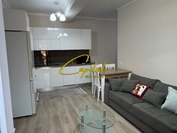 APARTAMENT ME QIRA 1+1 BRRYLI 55.000 LEKE