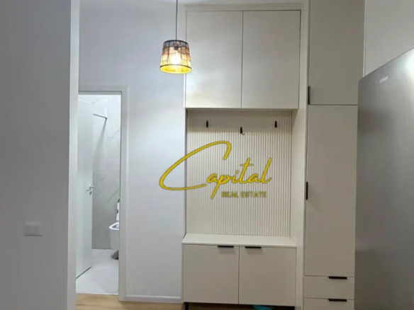 APARTAMENT ME QIRA 1+1 ALI DEMI 45.000 LEKE