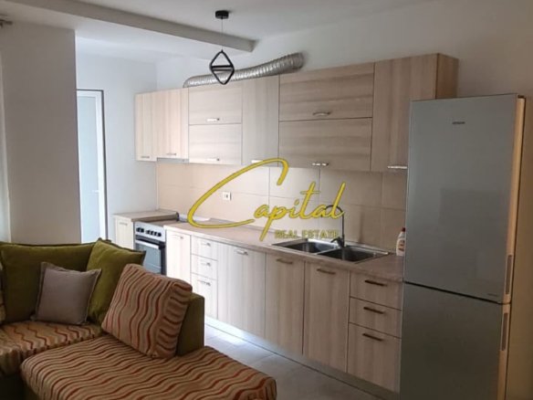 APARTAMENT ME QIRA 1+1 ISH PARKU 55.000 LEKE