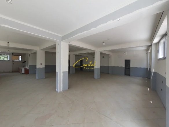 AMBIENT BIZNESI ME QIRA 140 M2 ALI DEMI 550 EURO