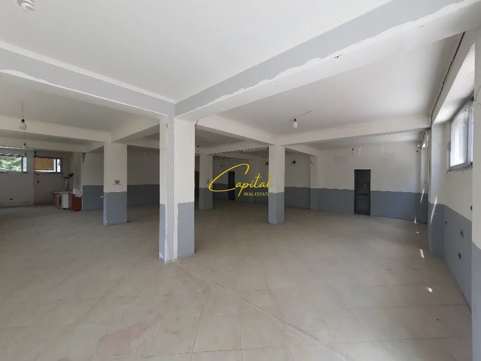 AMBIENT BIZNESI ME QIRA 140 M2 ALI DEMI 550 EURO