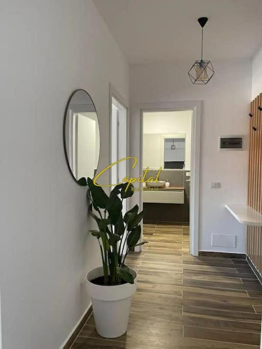 APARTAMENT ME QIRA 1+1 RRUGA E BARRIKADAVE 100.000 LEKE