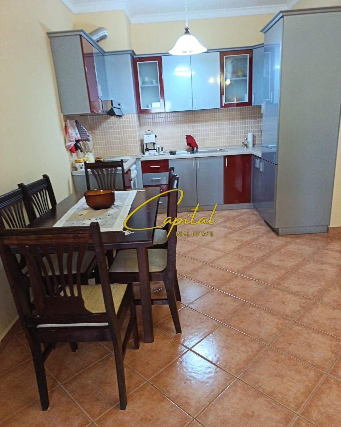 APARTAMENT ME QIRA 1+1 KOPSHTI ZOOLOGJIK 600 EURO